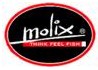 MOLIX